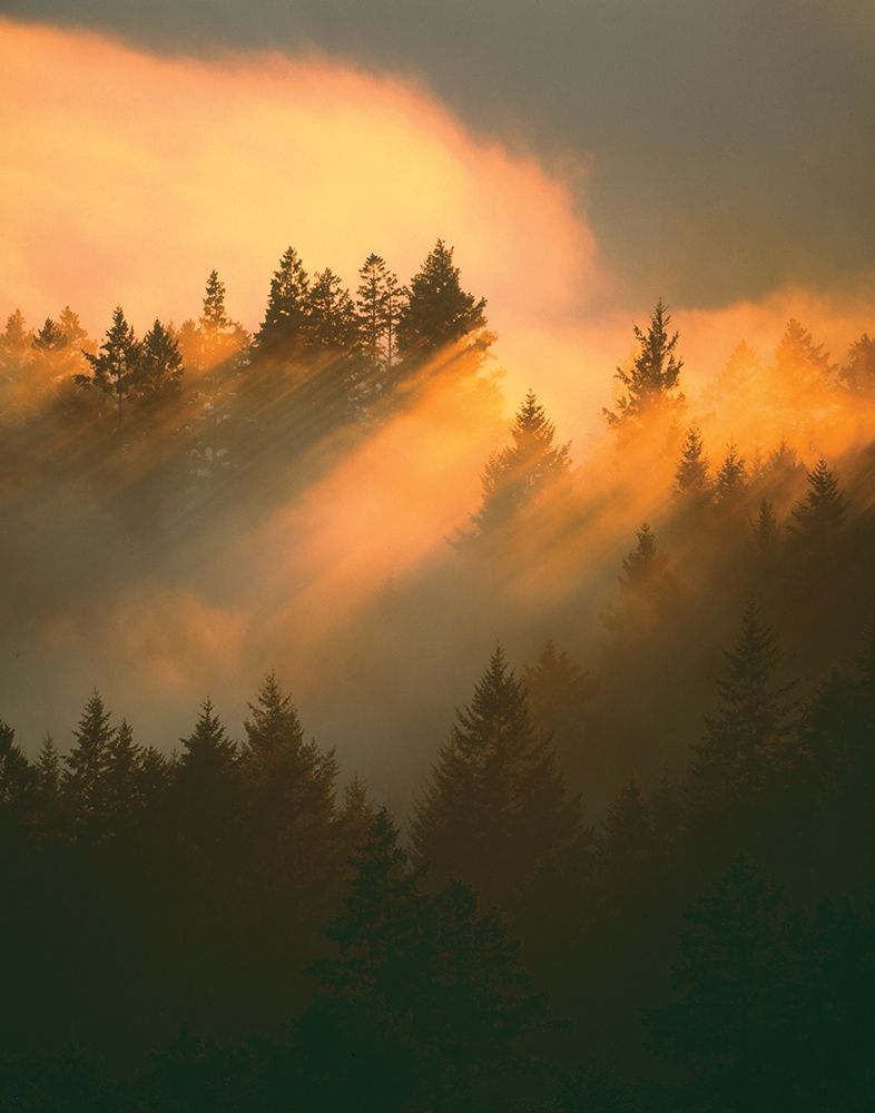 Similar wall art painting: 189853