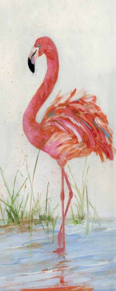 Wall Art Painting id:164495, Name: Flamingo II, Artist: Swatland, Sally