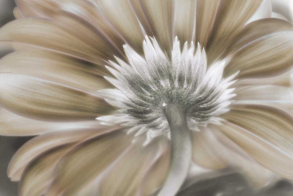 Similar wall art painting: 164591