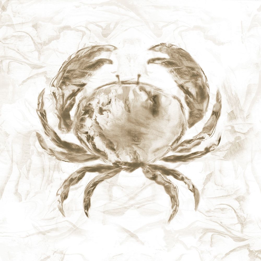 Wall Art Painting id:190084, Name: Soft Marble Coast Crab, Artist: Nan