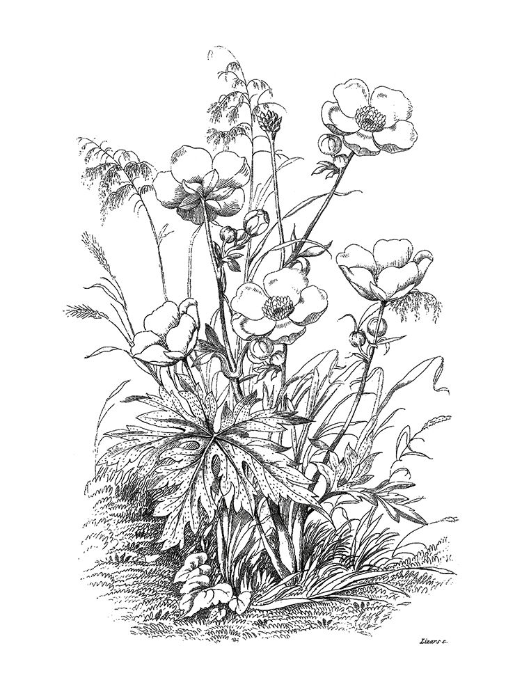 Similar wall art painting: 189898