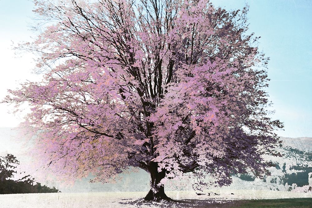 Similar wall art painting: 190413