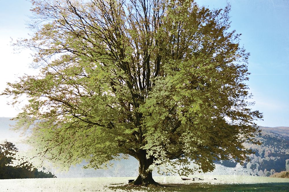 Similar wall art painting: 190414