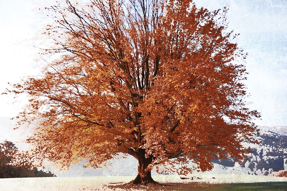 Similar wall art painting: 190415