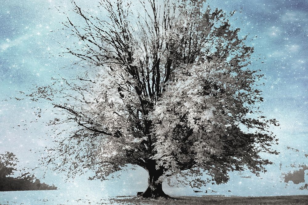 Similar wall art painting: 190416