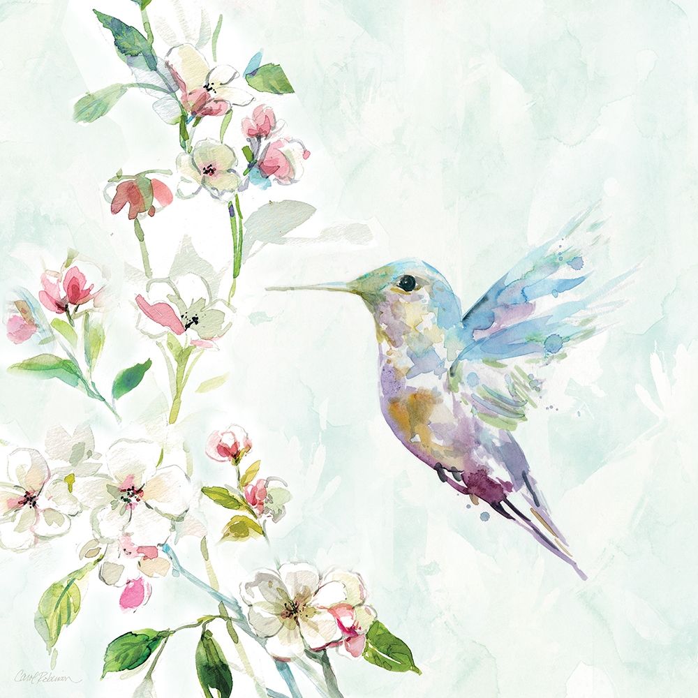 Wall Art Painting id:208364, Name: Hummingbird II, Artist: Robinson, Carol