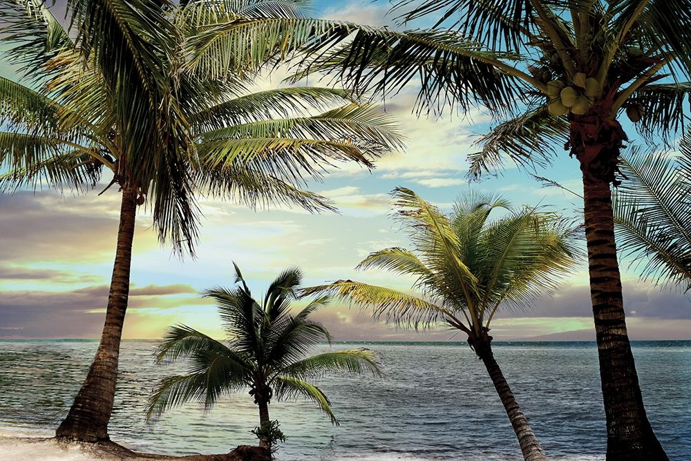 Similar wall art painting: 194319