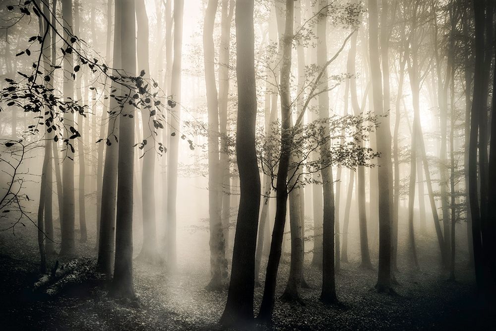 Similar wall art painting: 210915