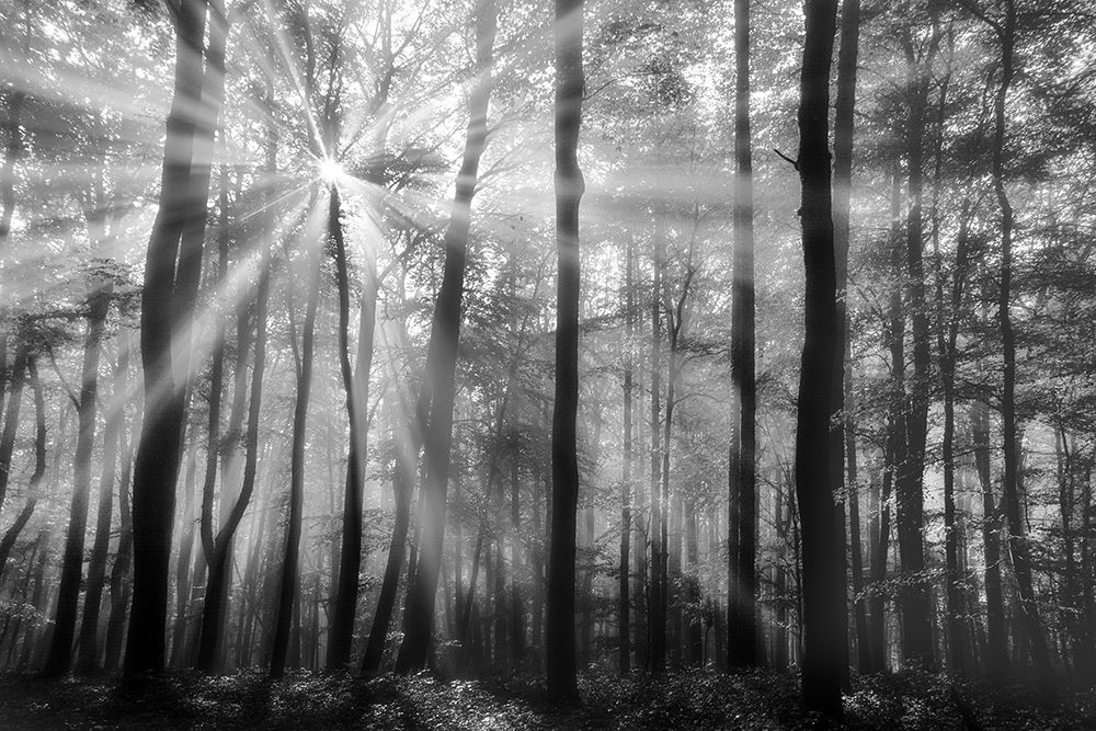 Similar wall art painting: 210919