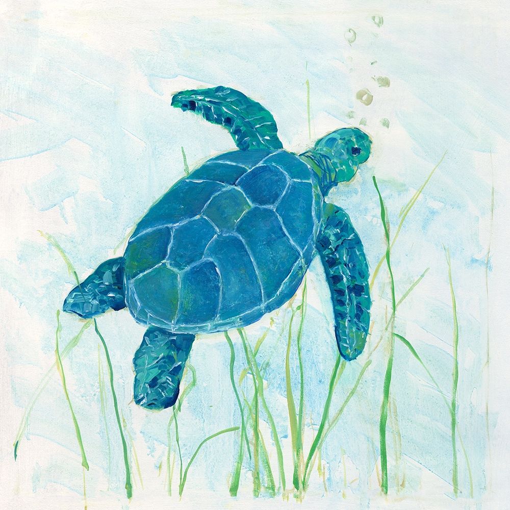 Wall Art Painting id:217495, Name: Reef Turtle I, Artist: Swatland, Sally