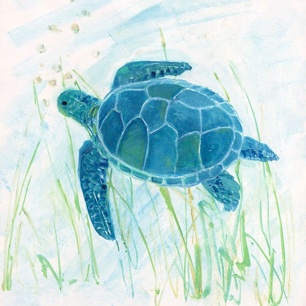 Wall Art Painting id:217496, Name: Reef Turtle II, Artist: Swatland, Sally