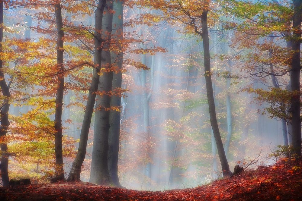 Similar wall art painting: 221566