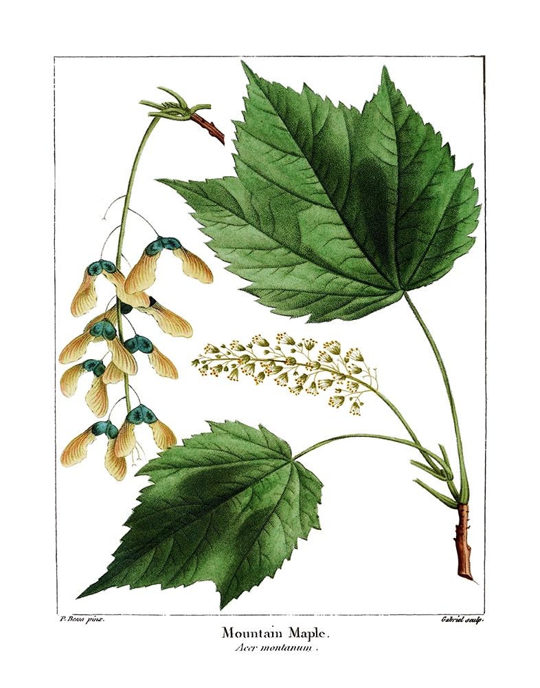 Similar wall art painting: 221611