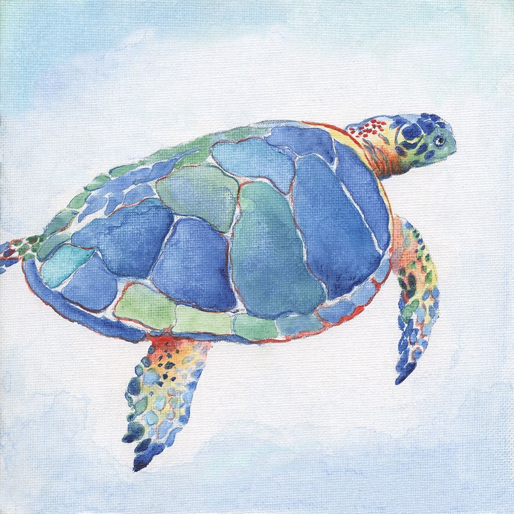Wall Art Painting id:246544, Name: Galapagos Sea Turtle I, Artist: Tava Studios