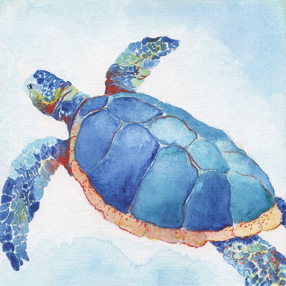 Wall Art Painting id:246545, Name: Galapagos Sea Turtle II, Artist: Tava Studios