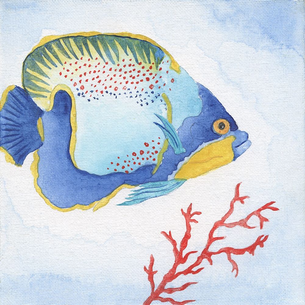 Wall Art Painting id:246546, Name: Galapagos Fish I, Artist: Tava Studios