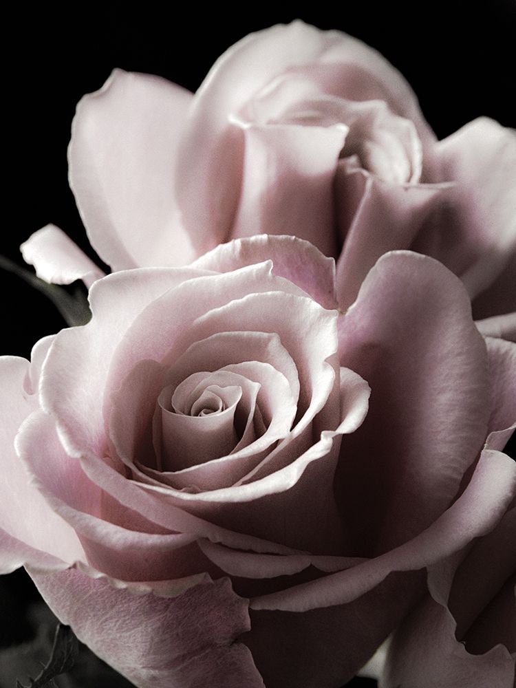 Similar wall art painting: 246637