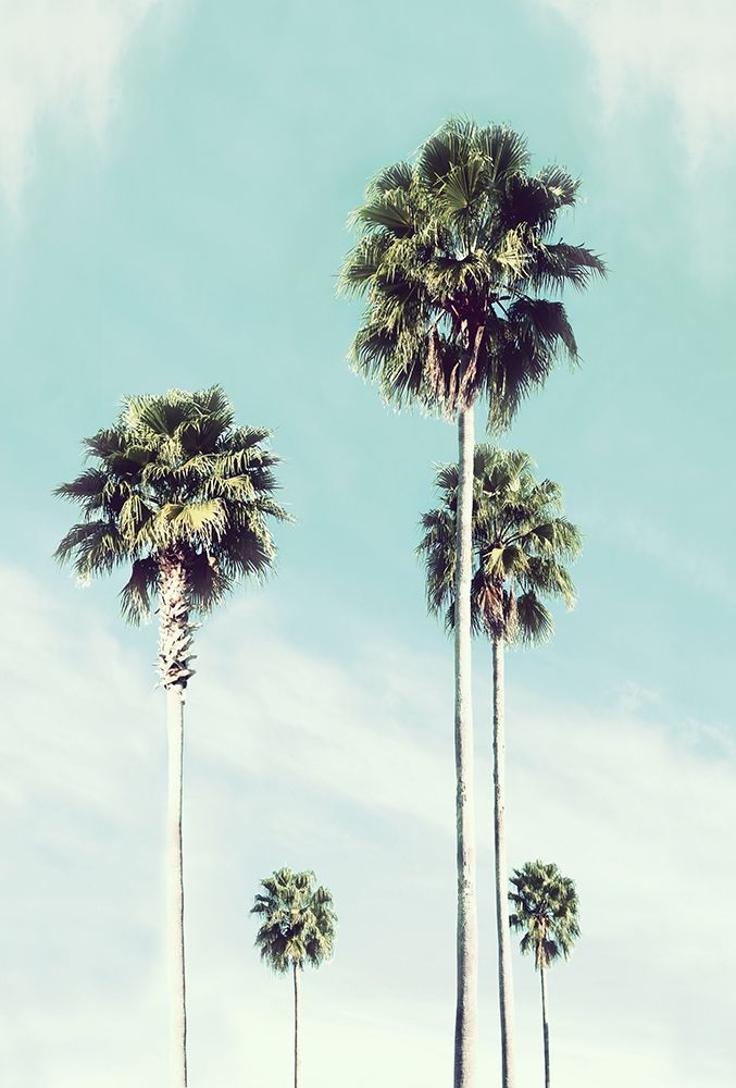 Similar wall art painting: 310795