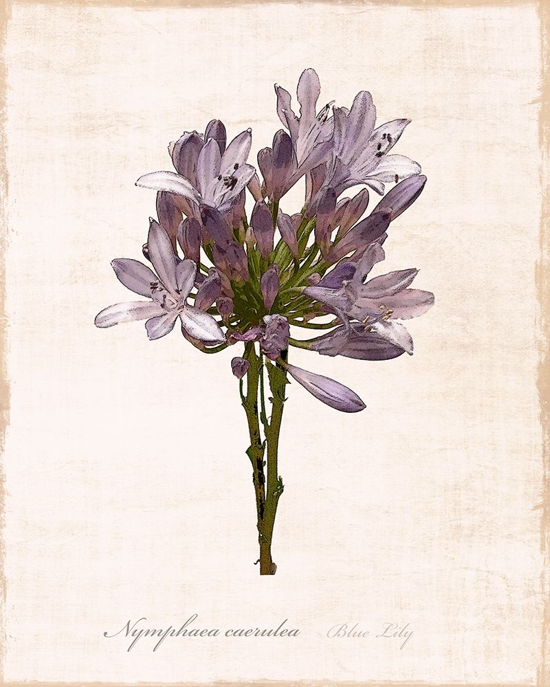 Similar wall art painting: 261808