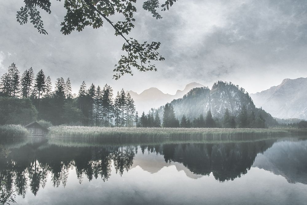 Art Print: Evening Melody