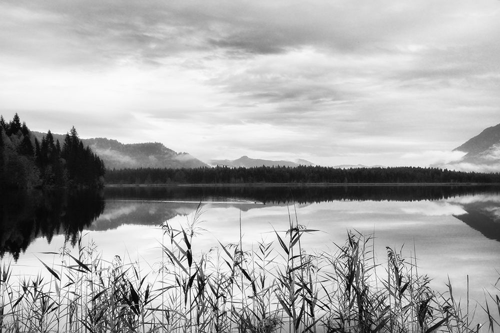 Similar wall art painting: 264771