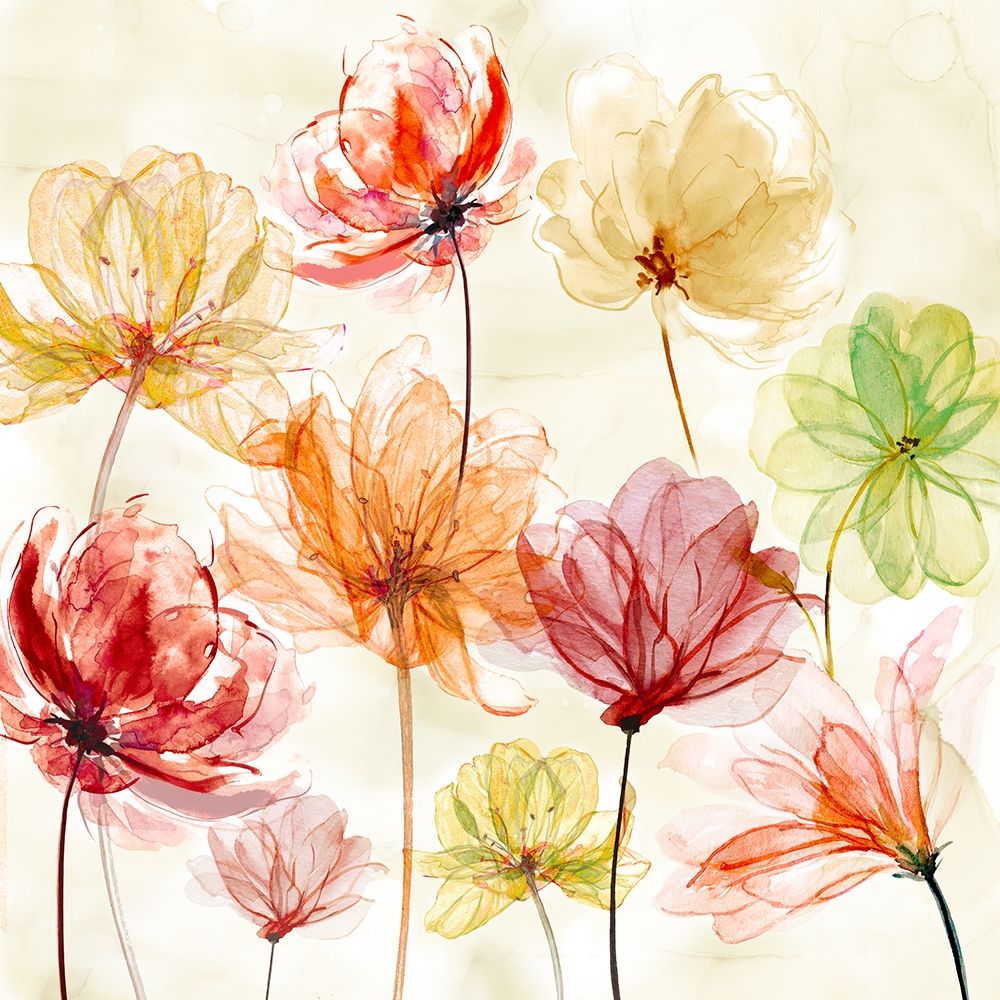 Art Print: Splash of Color