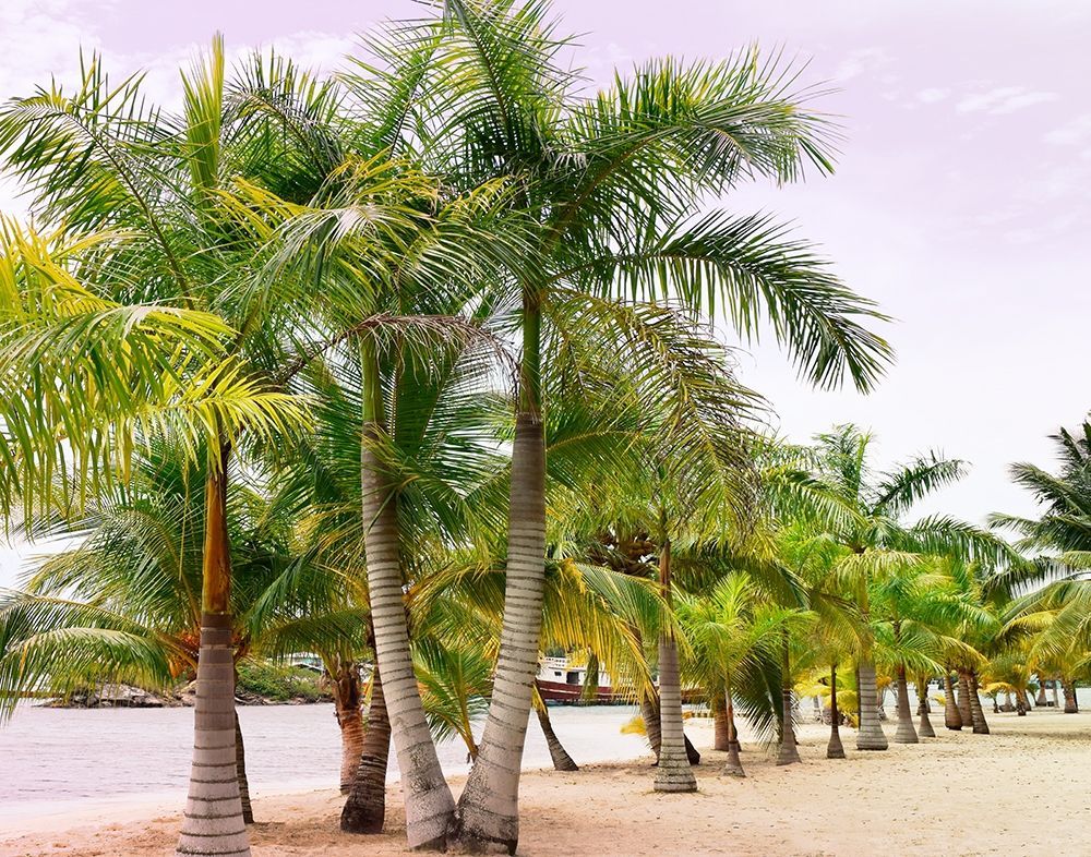 Similar wall art painting: 276224