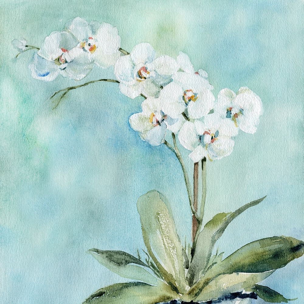 Wall Art Painting id:298590, Name: Sunlit Orchid, Artist: Robinson, Carol