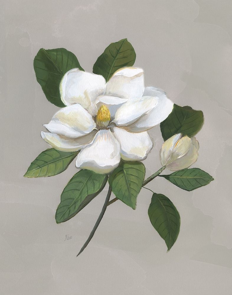 Wall Art Painting id:283036, Name: Botanical Magnolia, Artist: Nan