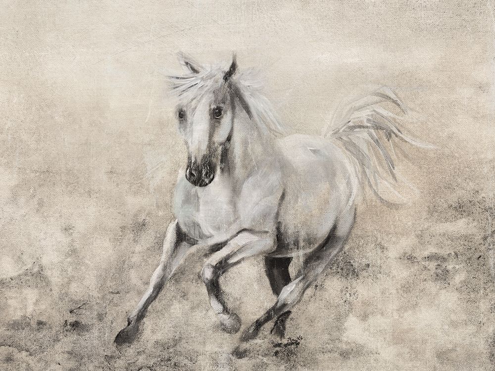 Wall Art Painting id:284583, Name: Majestic Stallion II, Artist: Brooks, Donna