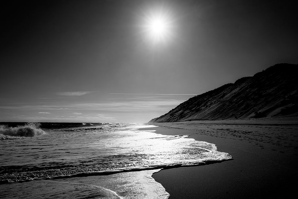 Wall Art Painting id:298719, Name: Against the Dune, Artist: Foulke, Doug