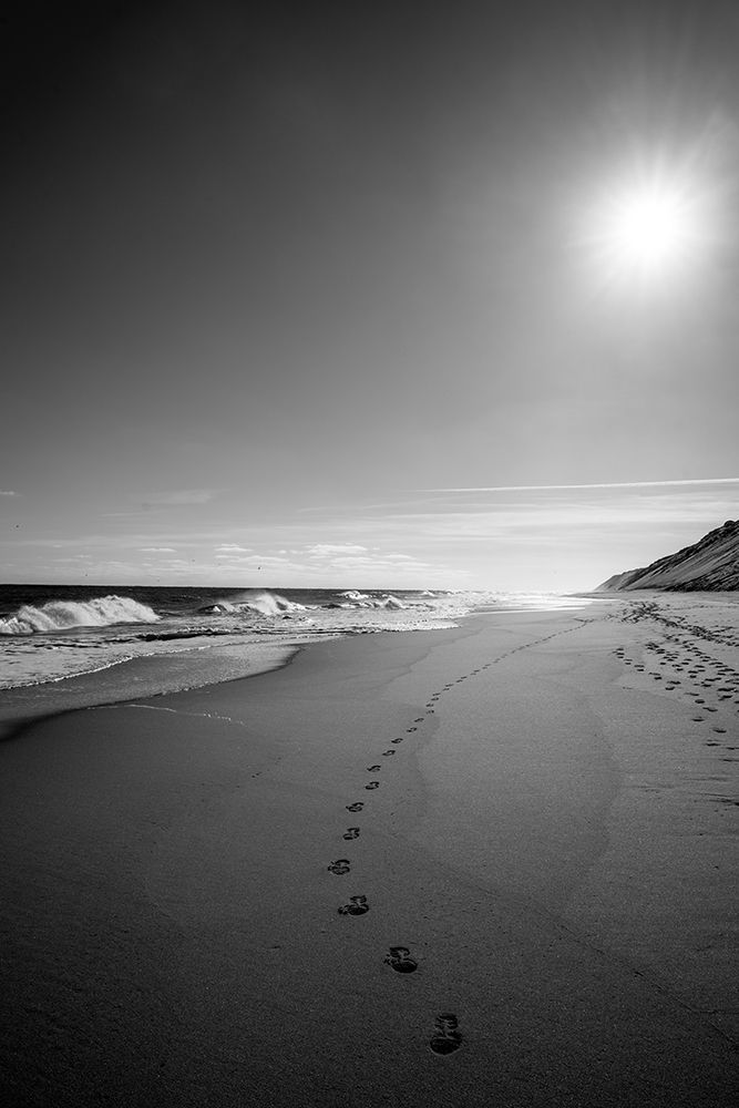 Wall Art Painting id:298762, Name: Heading East, Artist: Foulke, Doug