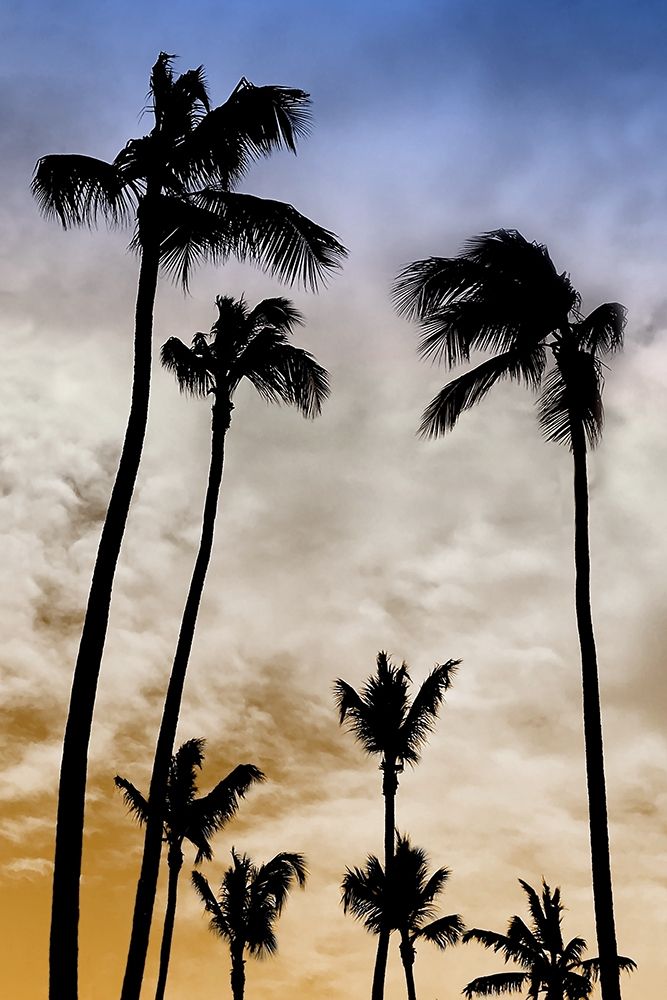 Similar wall art painting: 310864