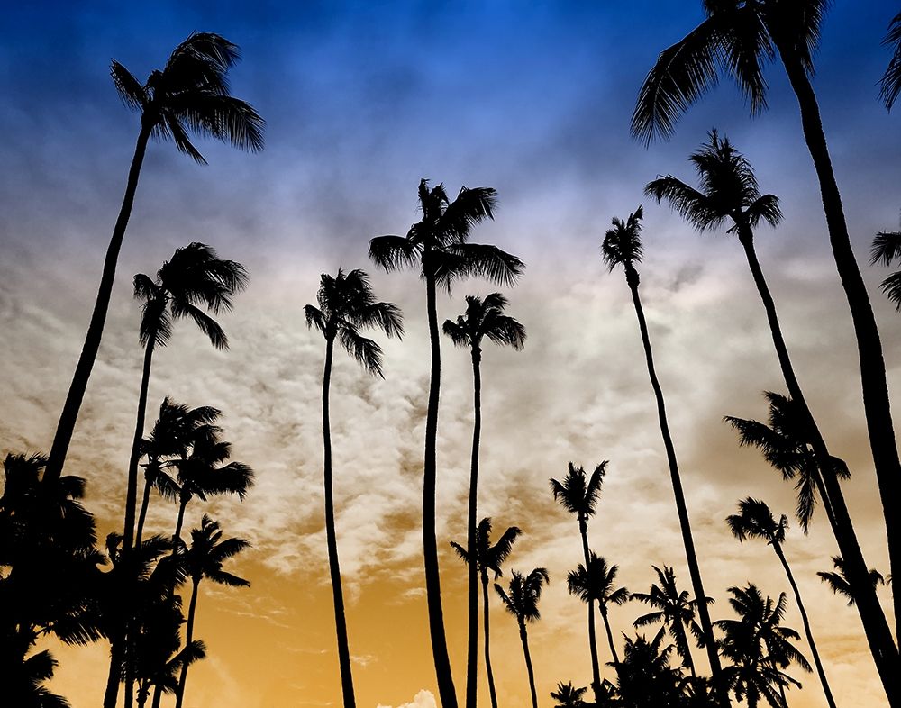 Similar wall art painting: 310866