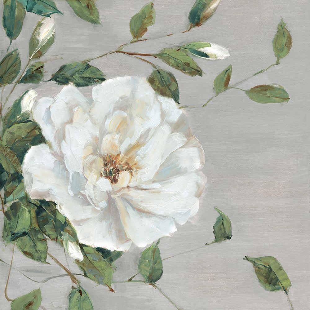 Wall Art Painting id:433926, Name: Garden Melody I, Artist: Swatland, Sally