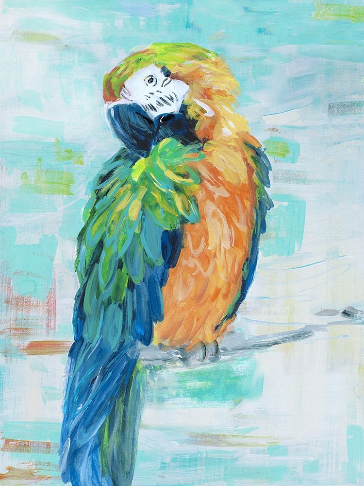 Wall Art Painting id:307395, Name: Island Parrot II, Artist: Swatland, Sally