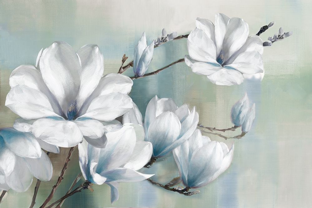 Wall Art Painting id:343197, Name: Spring Magnolias, Artist: Daniels, Rogier