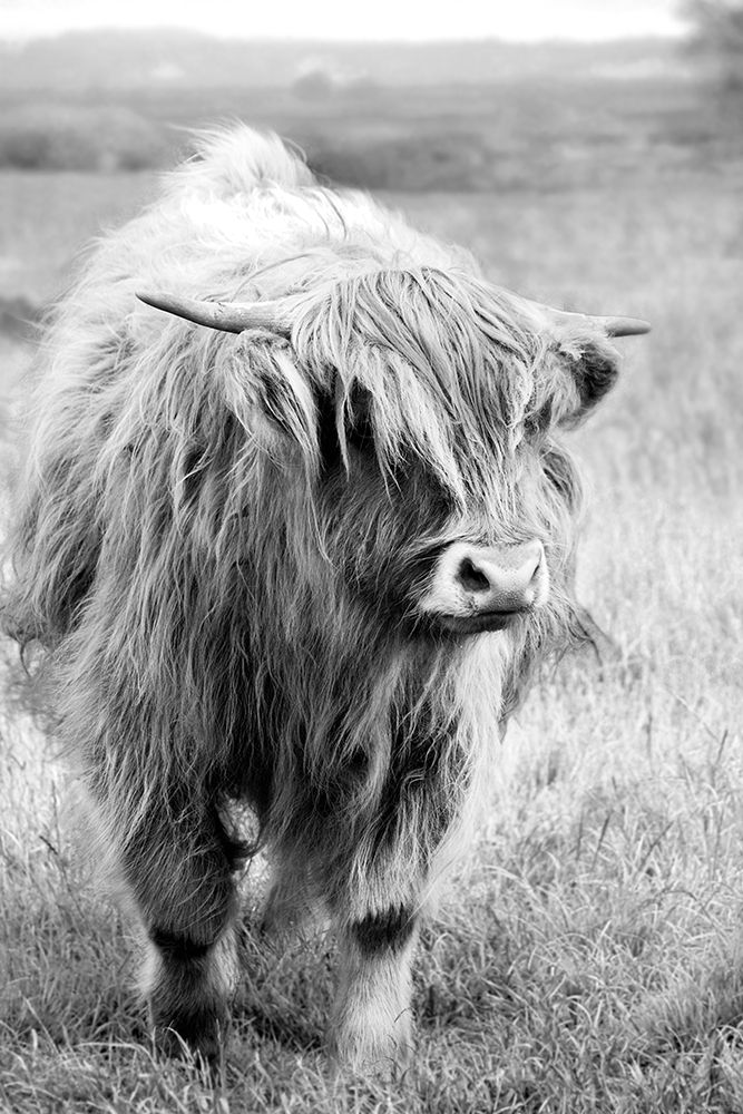 Similar wall art painting: 378481