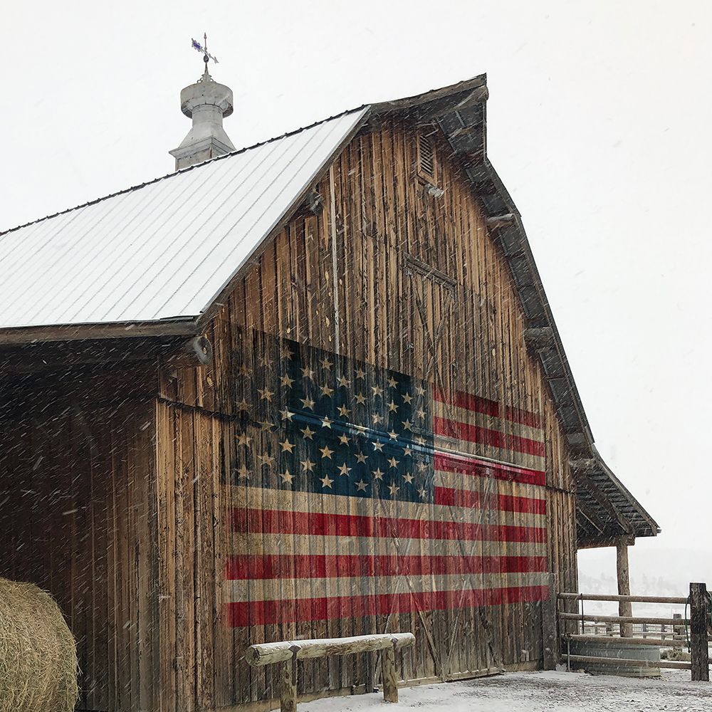 Wall Art Painting id:484927, Name: America Proud, Artist: Robinson, Carol