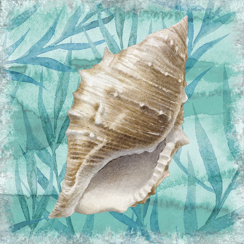 Wall Art Painting id:525519, Name: Shells Ashore II, Artist: Knutsen, Conrad