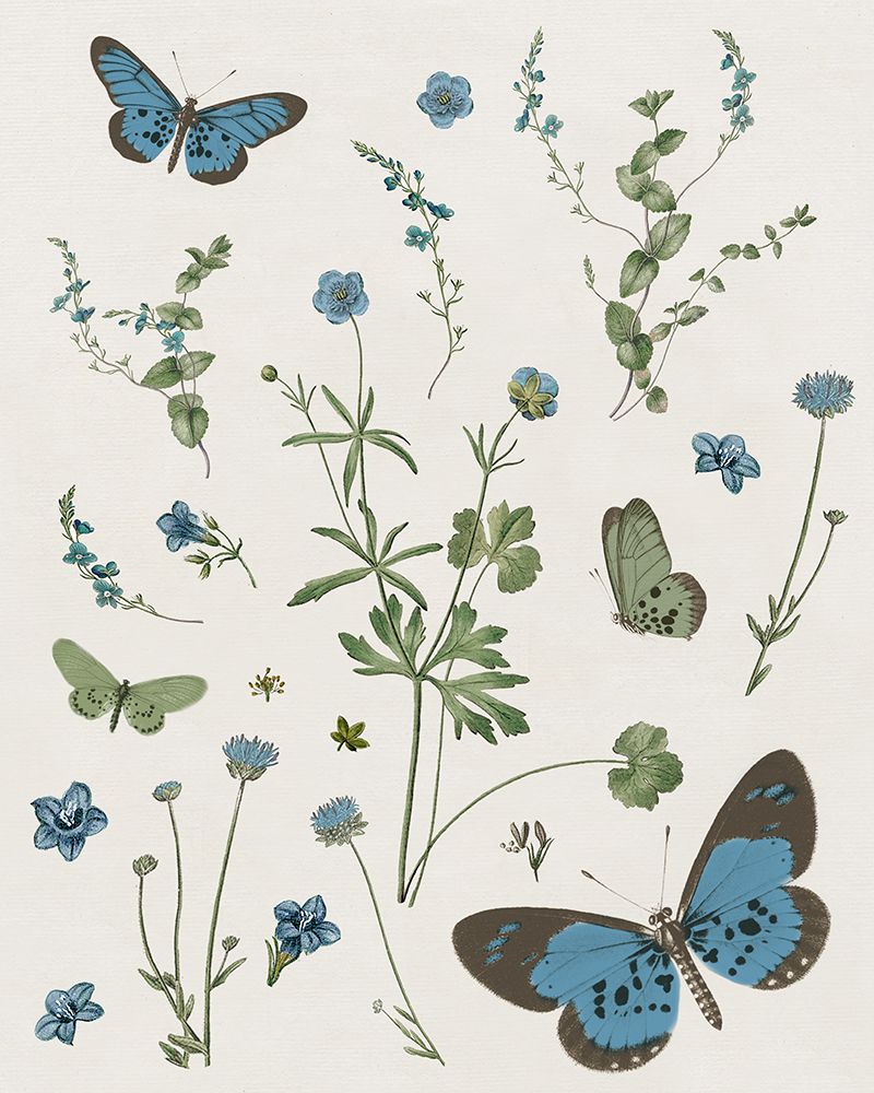 Wall Art Painting id:563679, Name: Botanical Page I, Artist: Donovan, Kelly