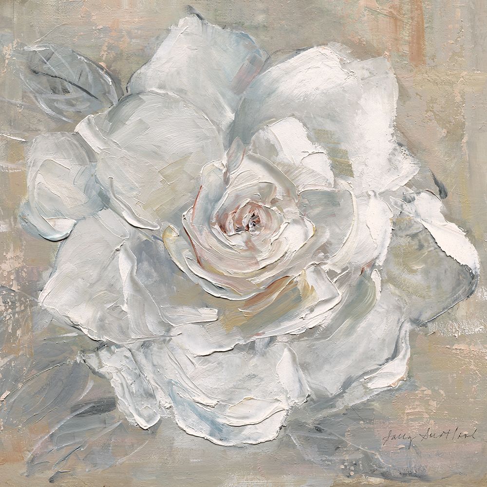 Wall Art Painting id:553588, Name: Gardenia Blush, Artist: Swatland, Sally