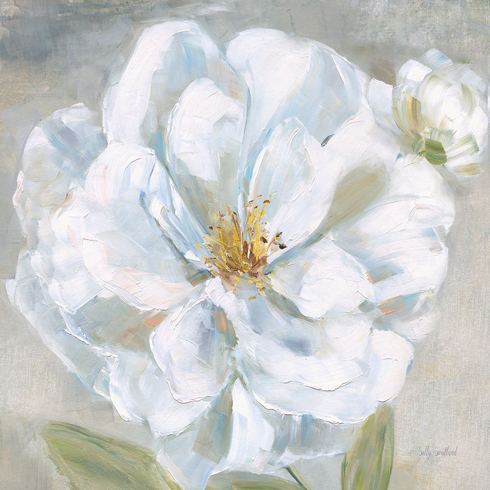 Wall Art Painting id:673909, Name: Garden Queen II, Artist: Swatland, Sally