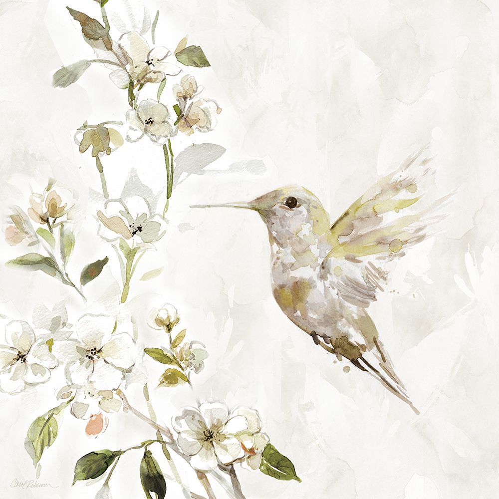 Wall Art Painting id:625937, Name: Hummingbird Song II, Artist: Robinson, Carol