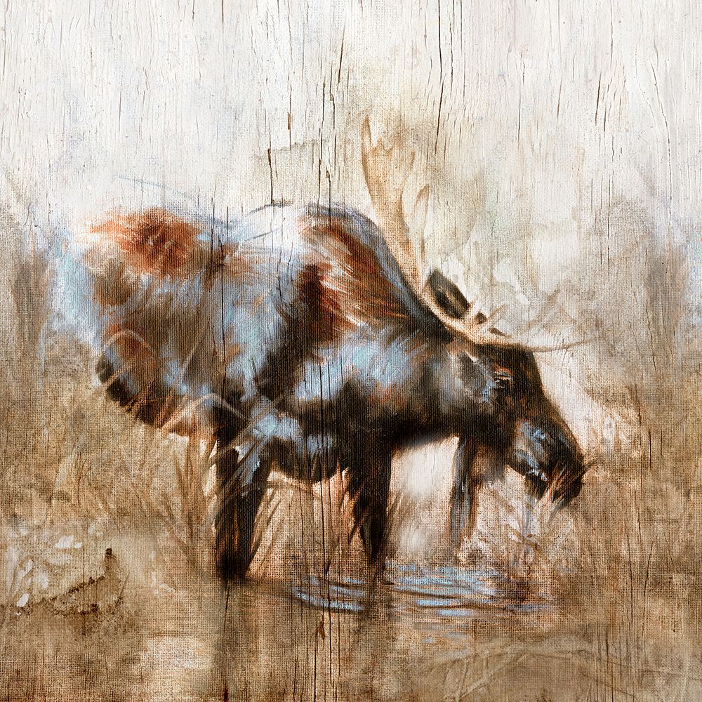 Wall Art Painting id:645425, Name: Grazing Moose, Artist: Brooks, Donna