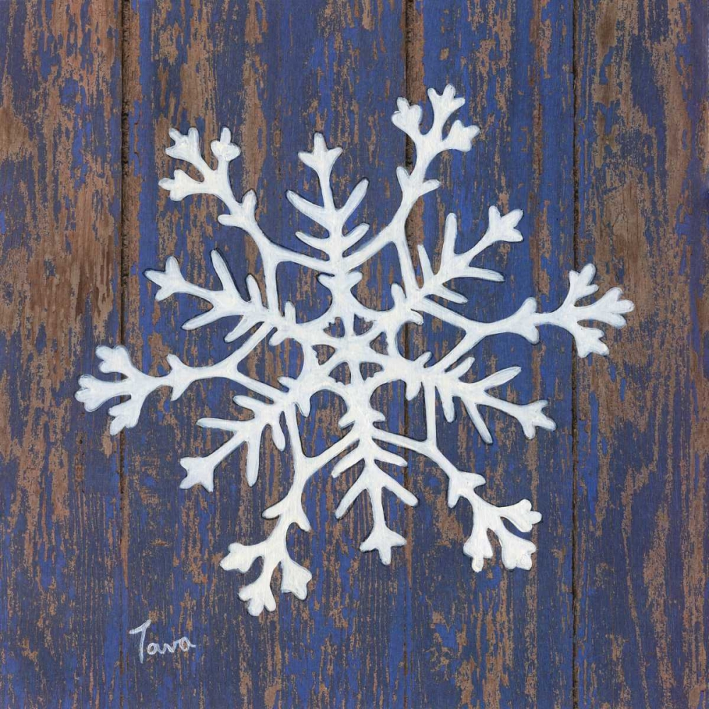 Wall Art Painting id:101974, Name: Stencil Snowflake, Artist: Tava, Janet