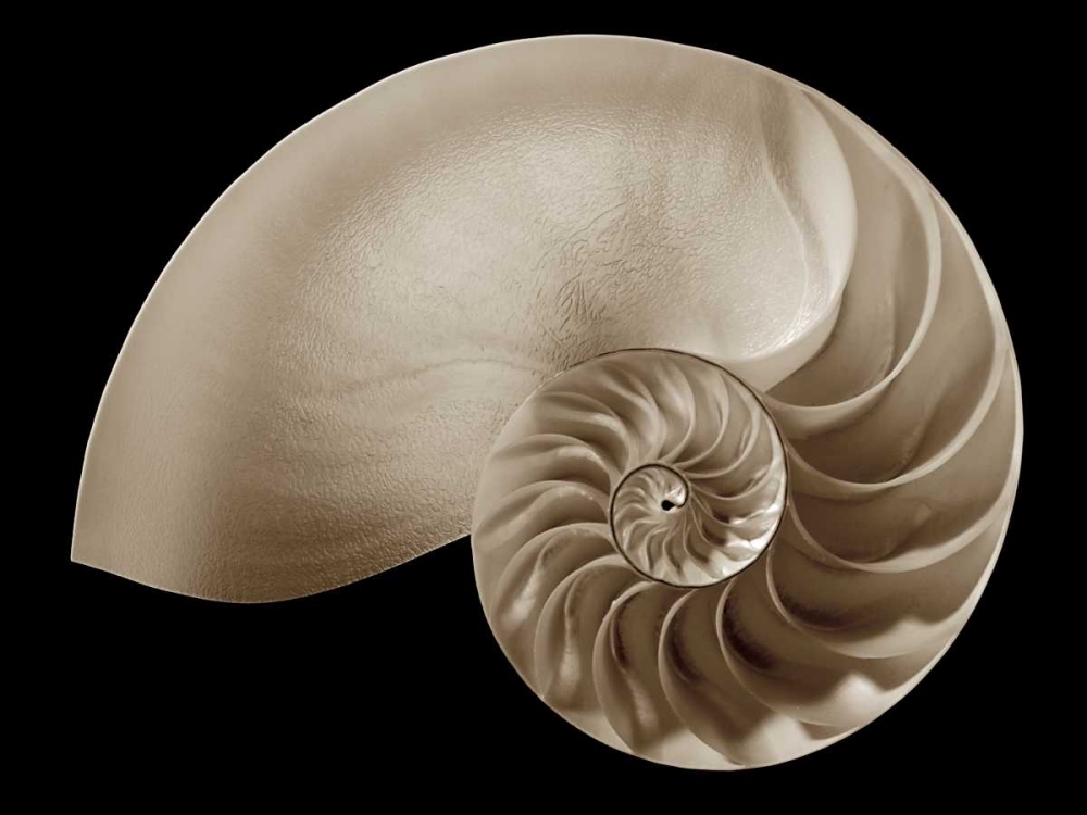 Similar wall art painting: 12828