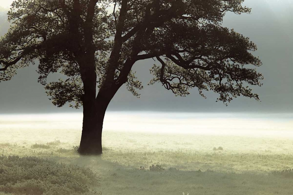 Similar wall art painting: 11222