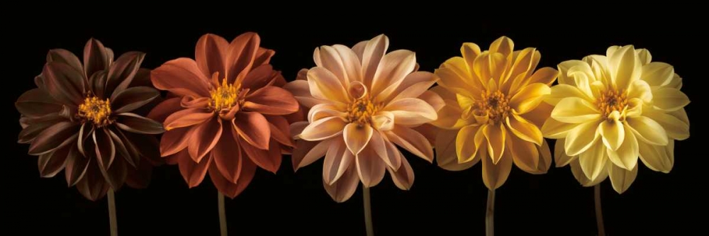 Similar wall art painting: 12545