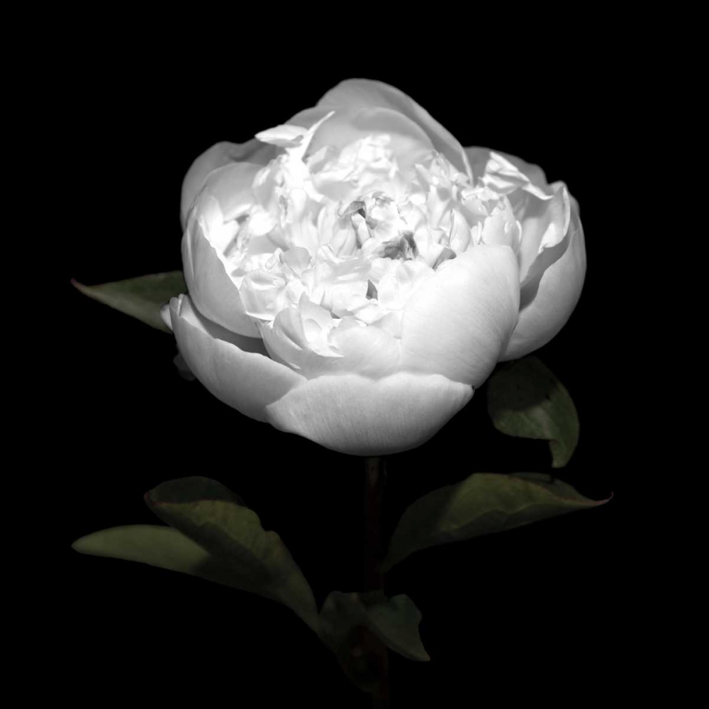 Similar wall art painting: 36111